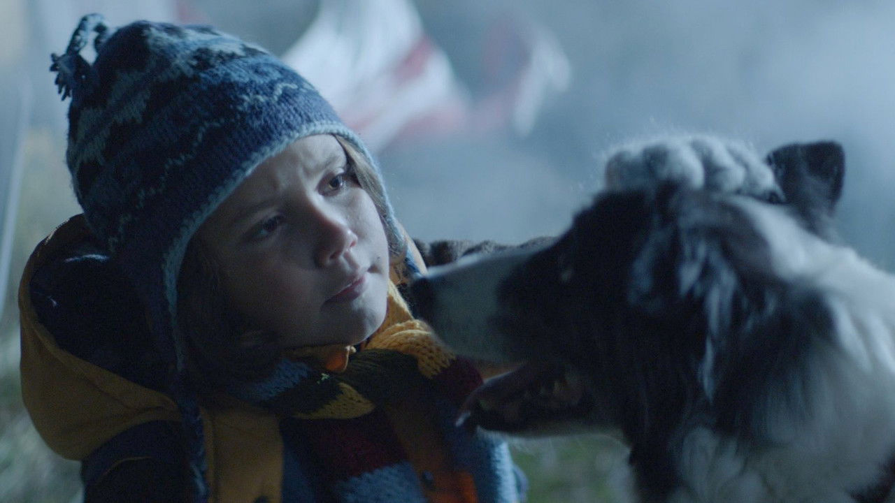 A Wish Upon A Satellite backdrop