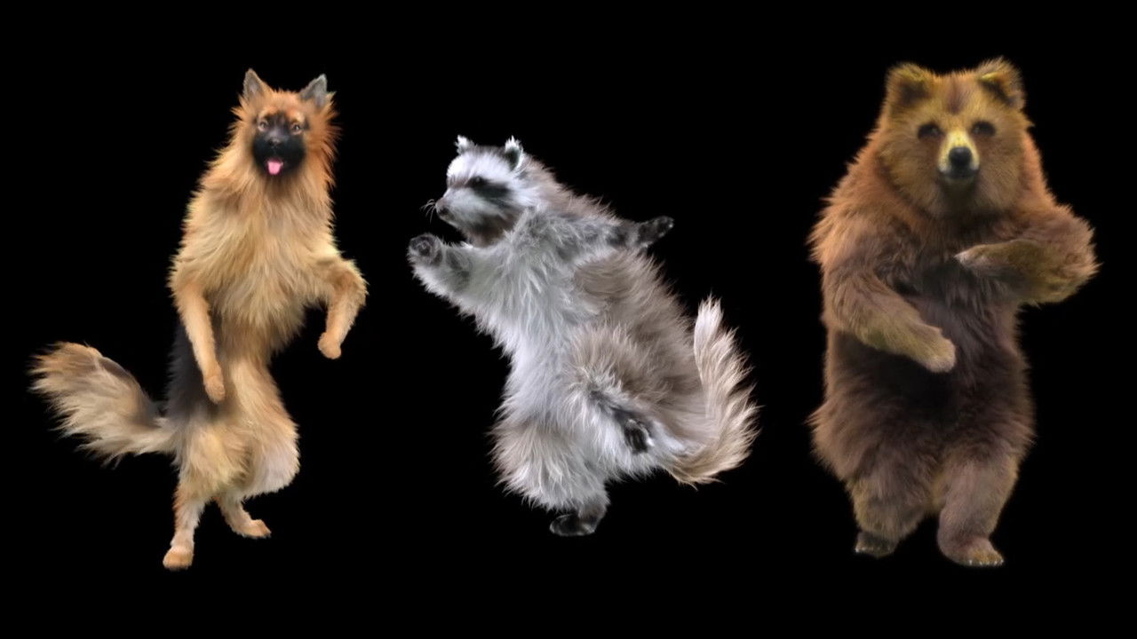 Animals: Drugs, Sex and Fun! backdrop