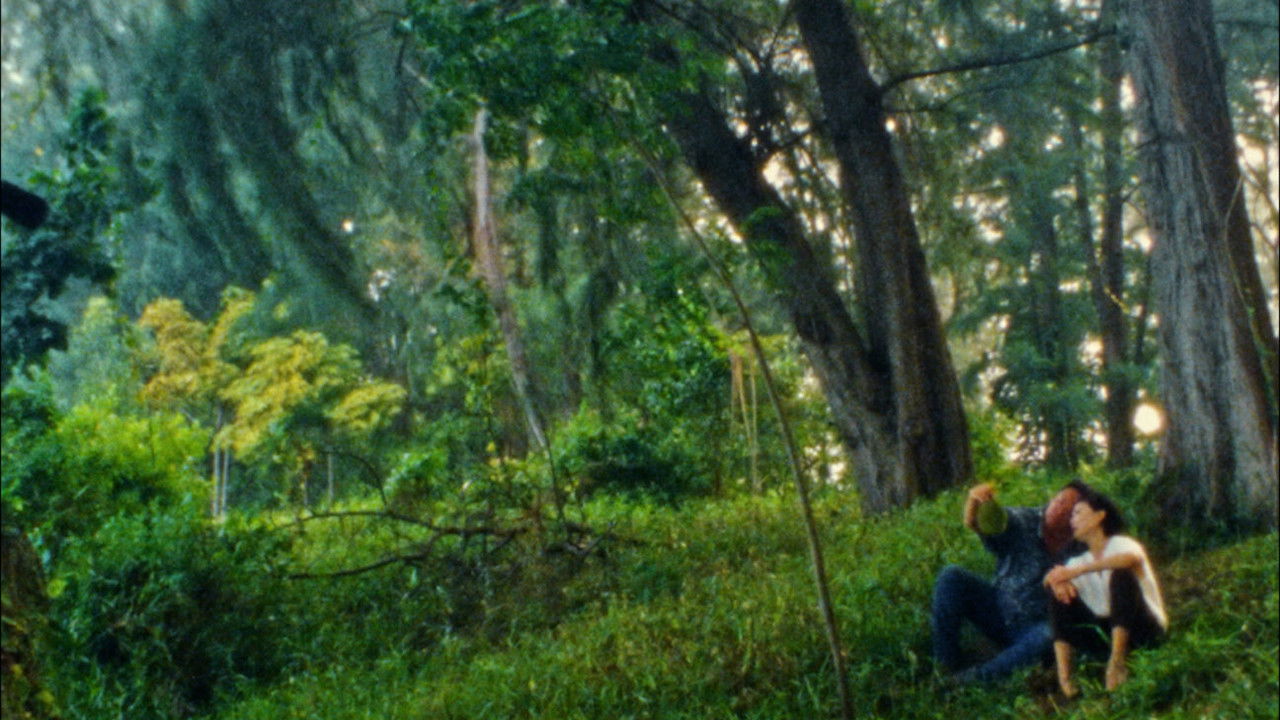 Durian, Durian backdrop