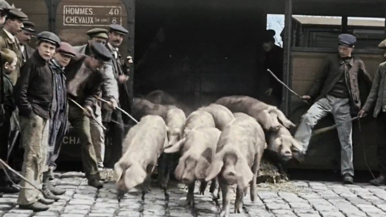 Nous paysans backdrop