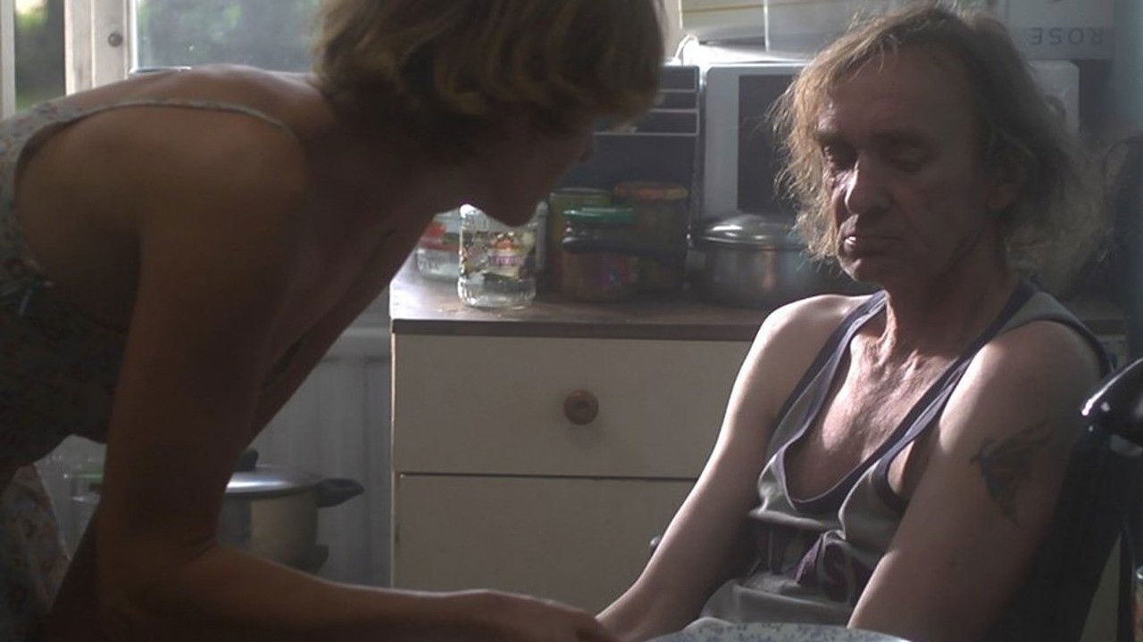 Daisy Petal Game 2 backdrop