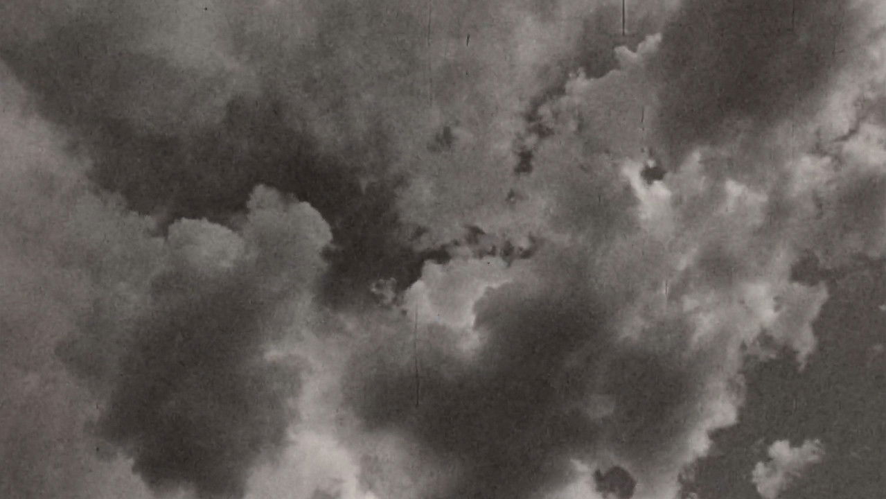 Portrait of Alison Bradford backdrop