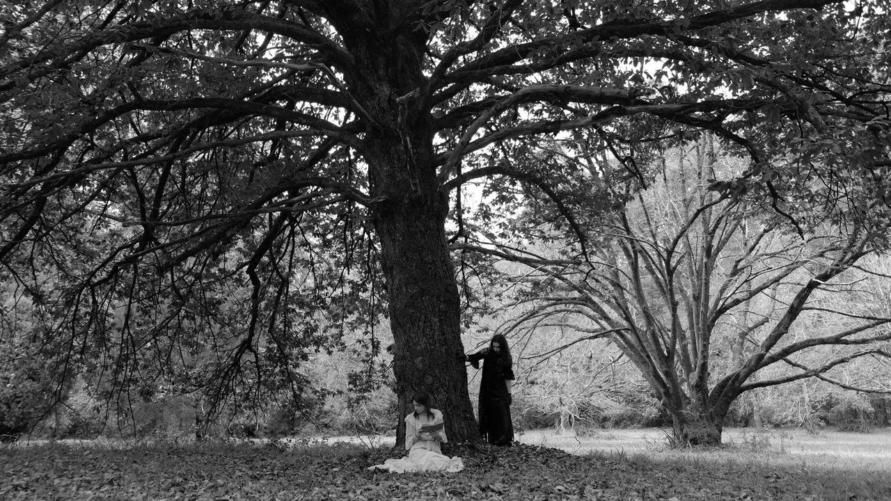 La Lune et Notre Sang backdrop