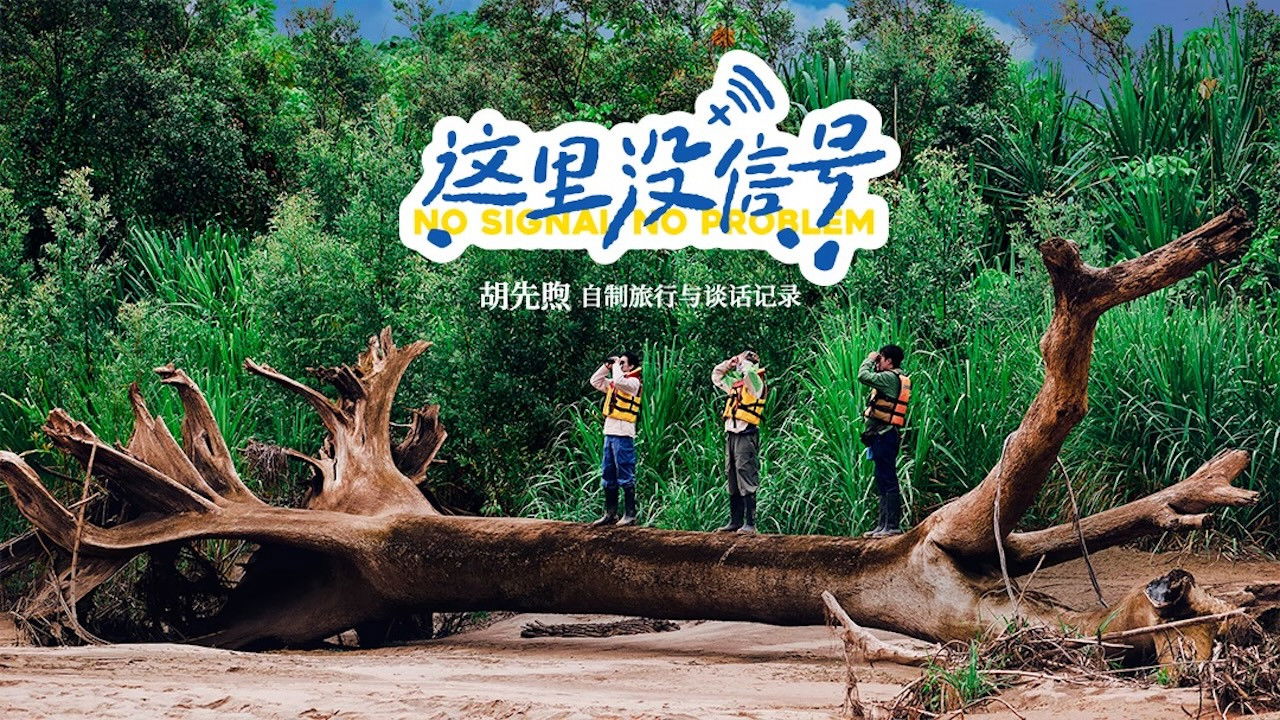 No Signal, No Problem backdrop