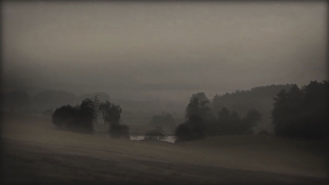 Blight Of Humanity backdrop