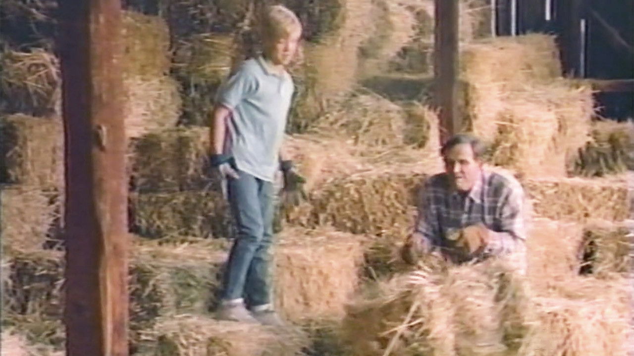 Easter Dream backdrop