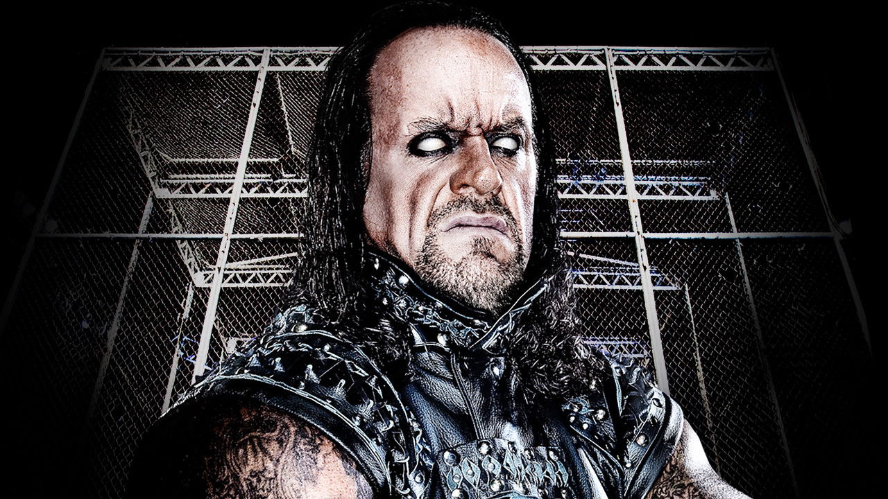 WWE Hell In A Cell 2010 backdrop