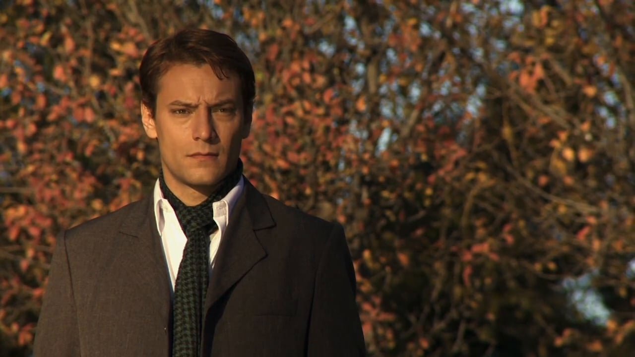 Schafhaus, casa de ovejas backdrop