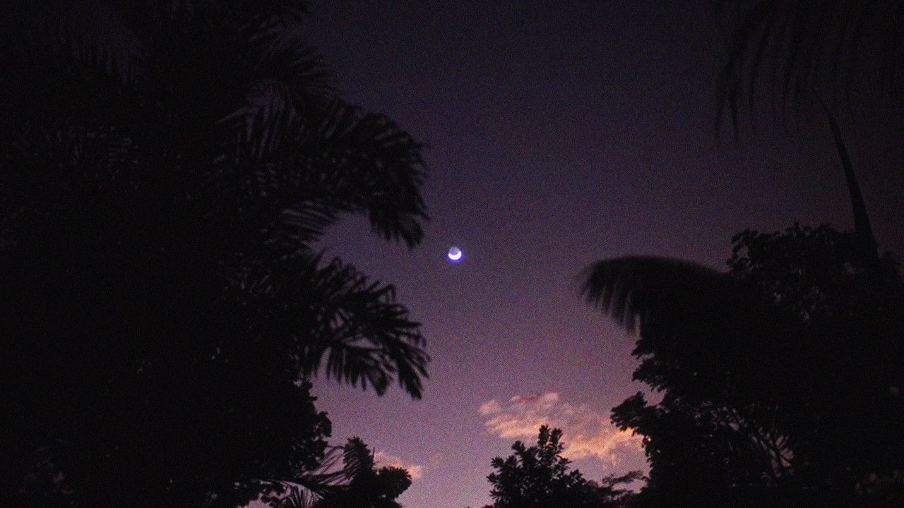 The Lost Memories Of Trees backdrop