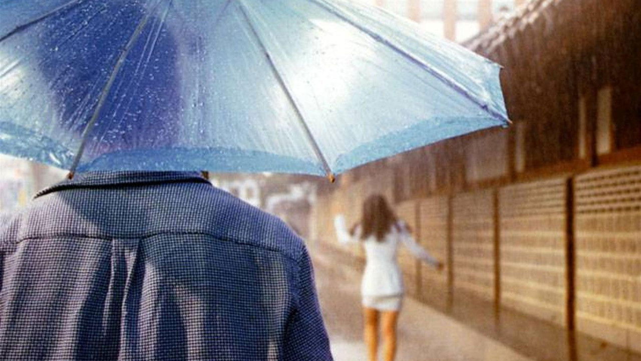 Yellow Flower backdrop