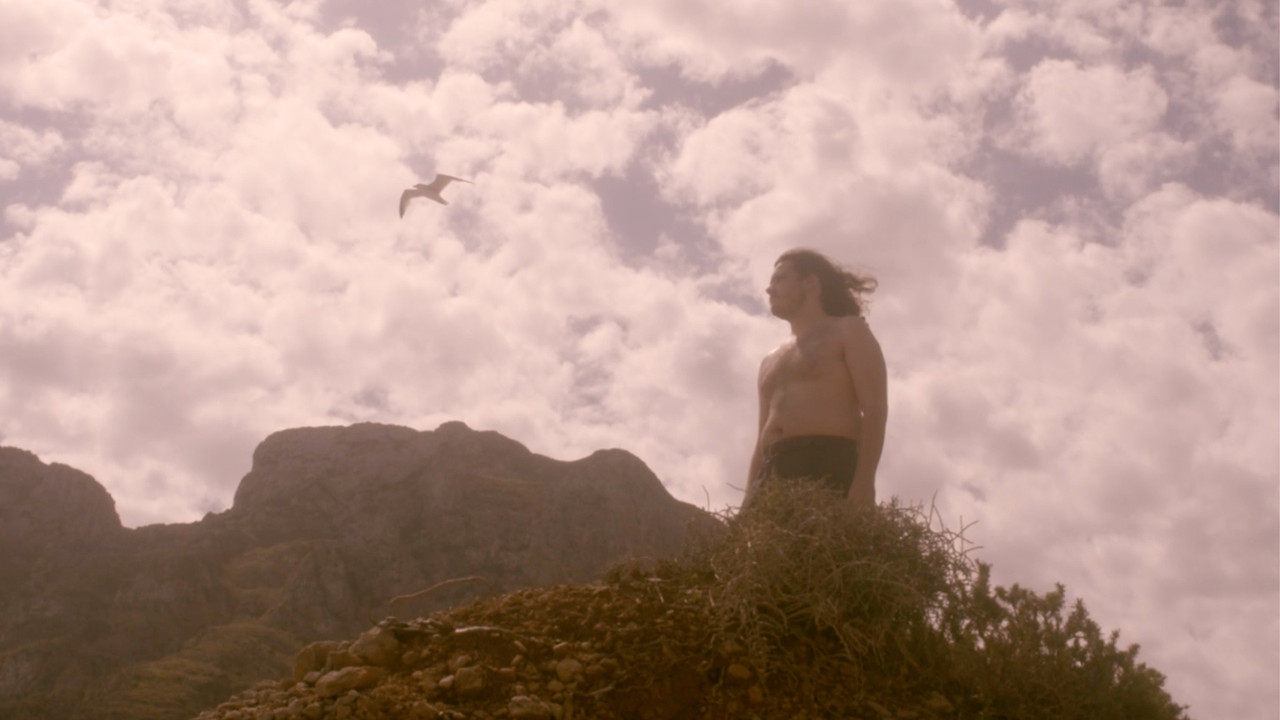 Ulysses' dog backdrop