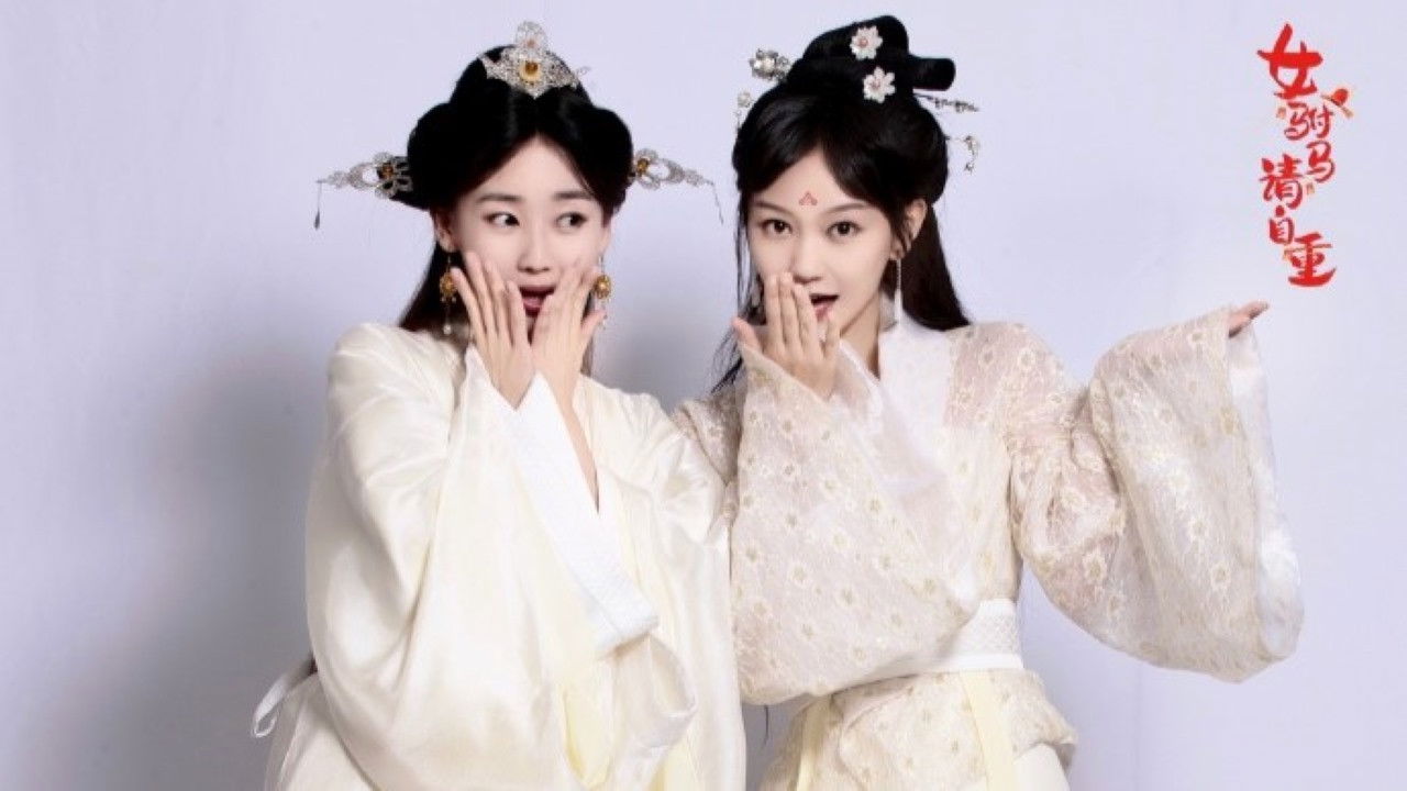 女驸马请自重 backdrop