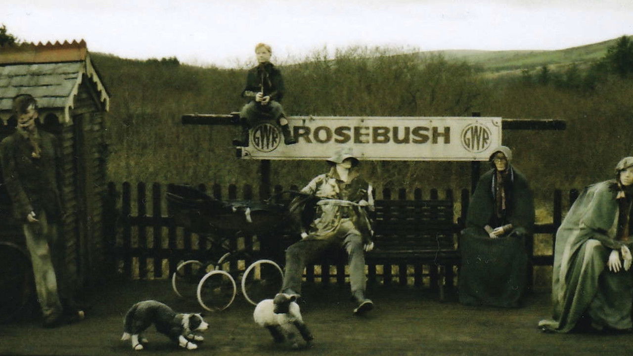 Mwll (of a Fire) Lifeless backdrop