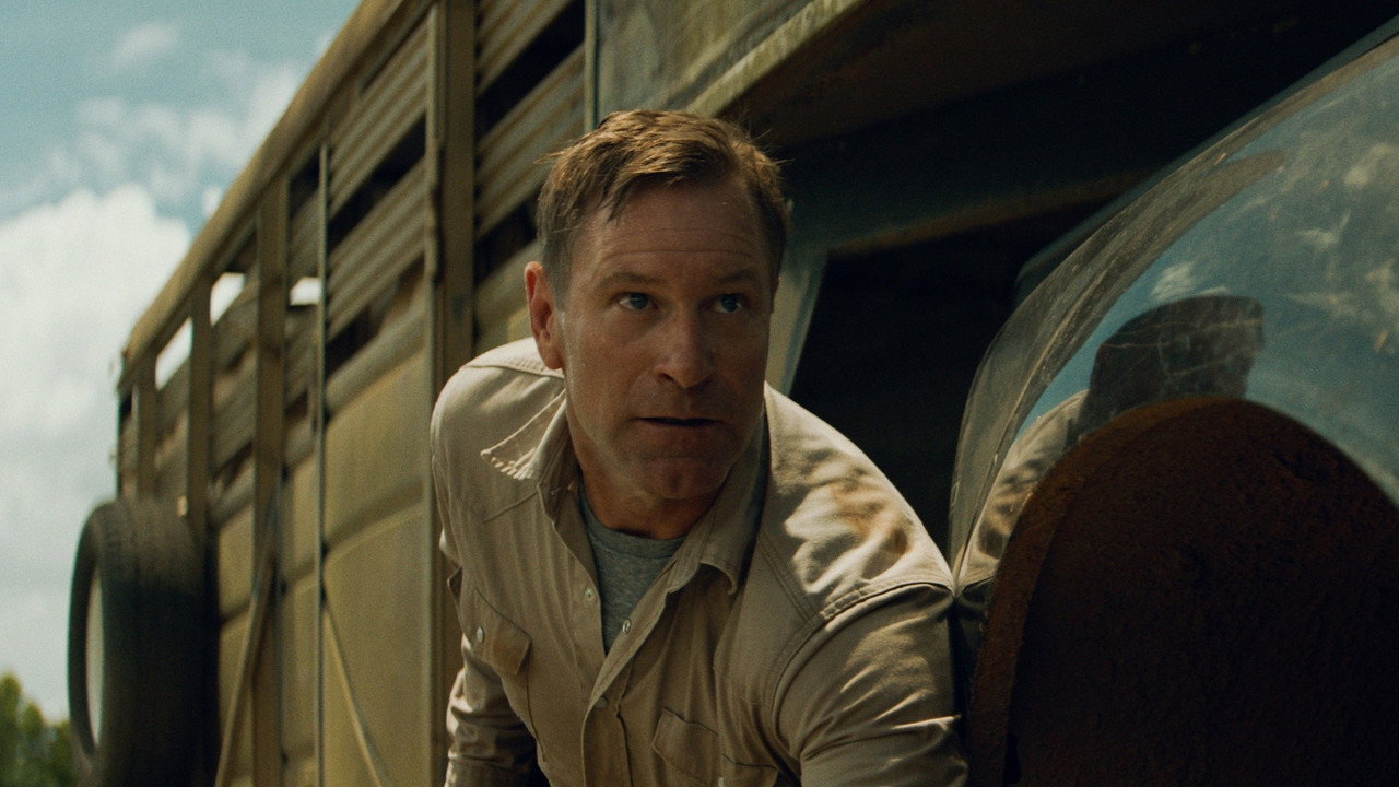 Thieves Highway backdrop