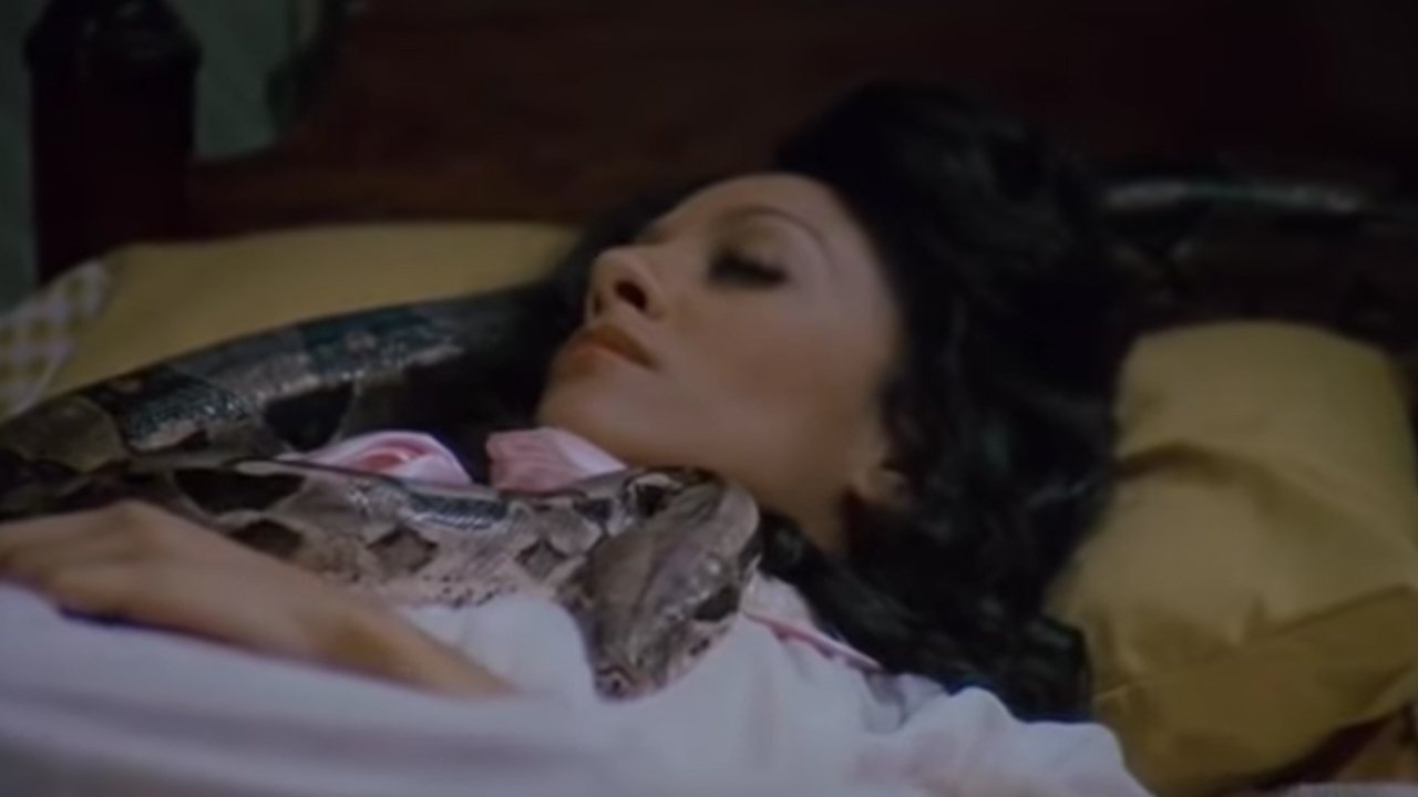 The House on Skull Mountain backdrop