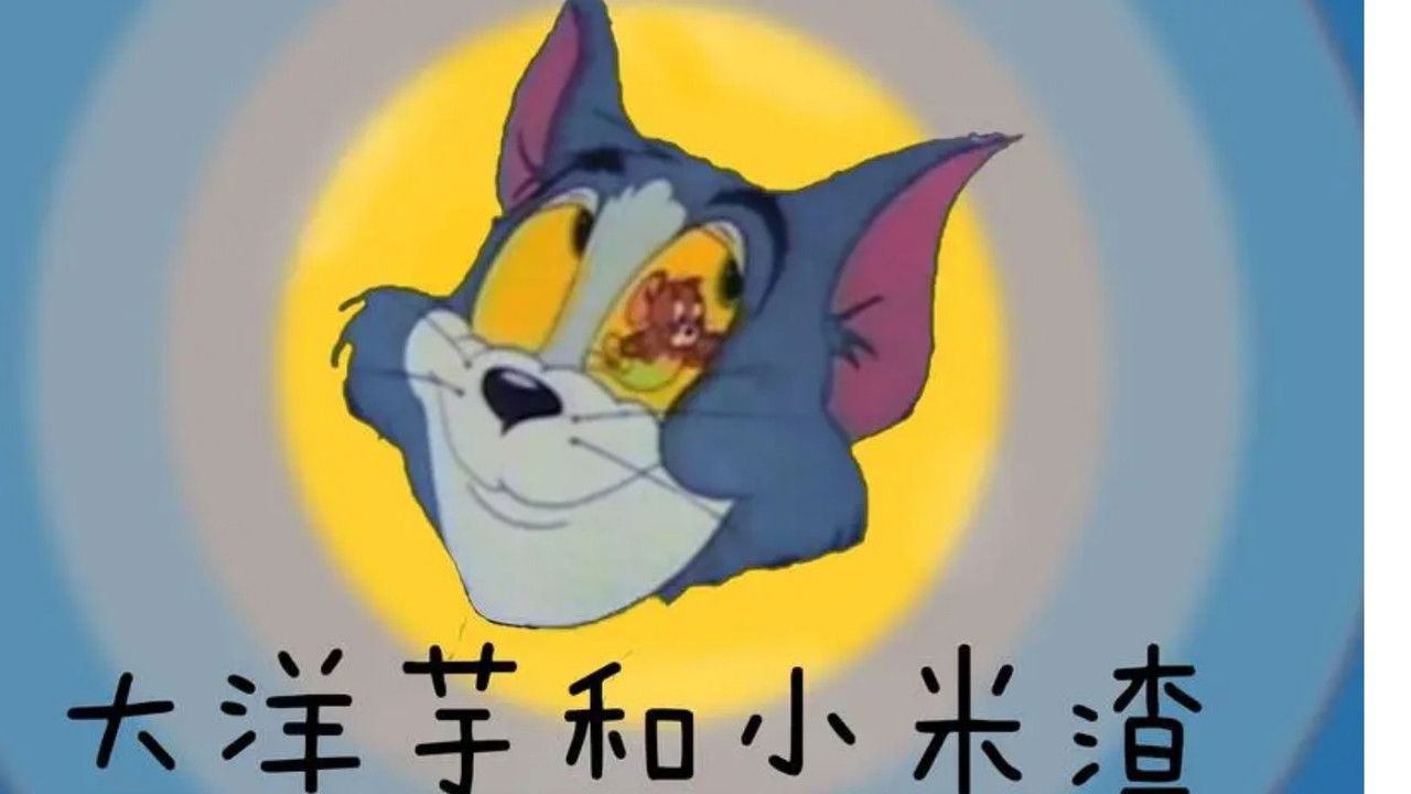 大洋芋和小咪渣 backdrop