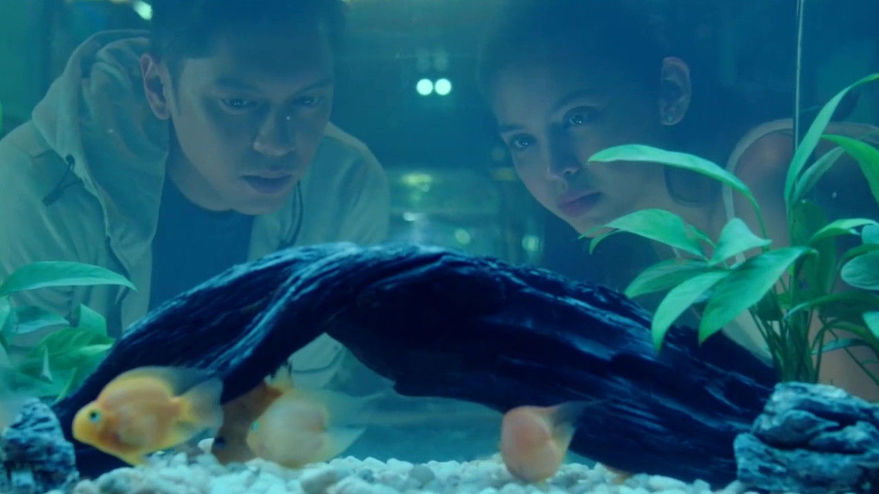 Isa Pa, with Feelings backdrop