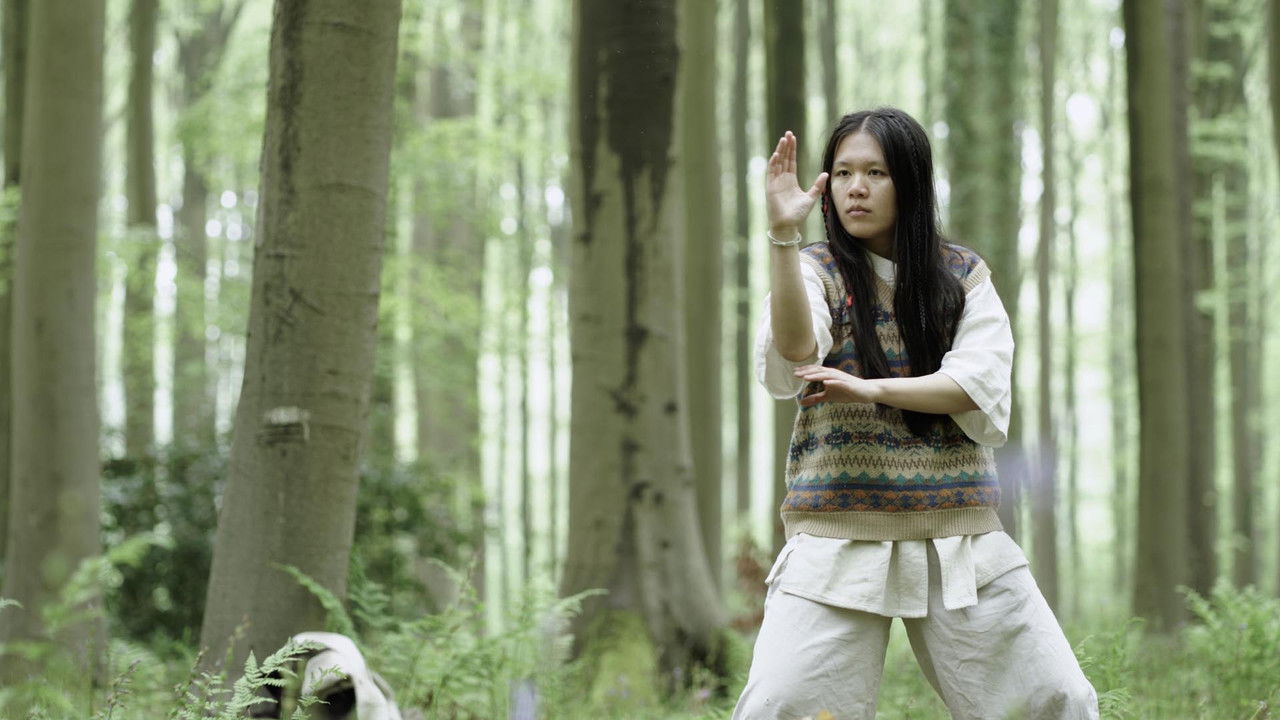 The Nomadic Falcon backdrop