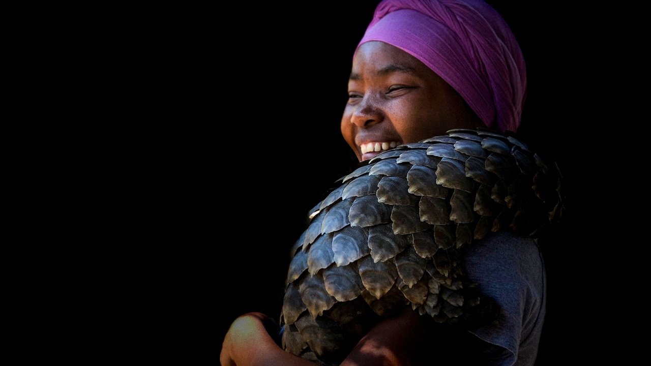 Gorongosa: Paradise Reborn backdrop