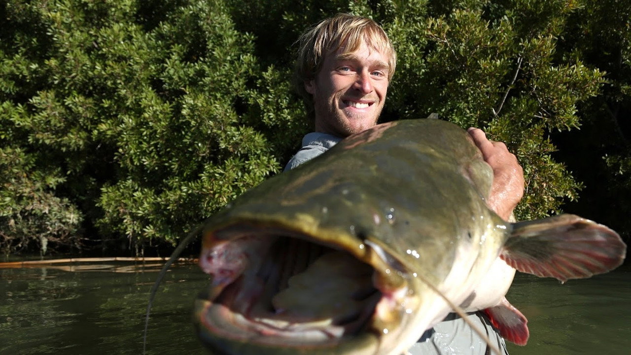 Big Fish Man backdrop