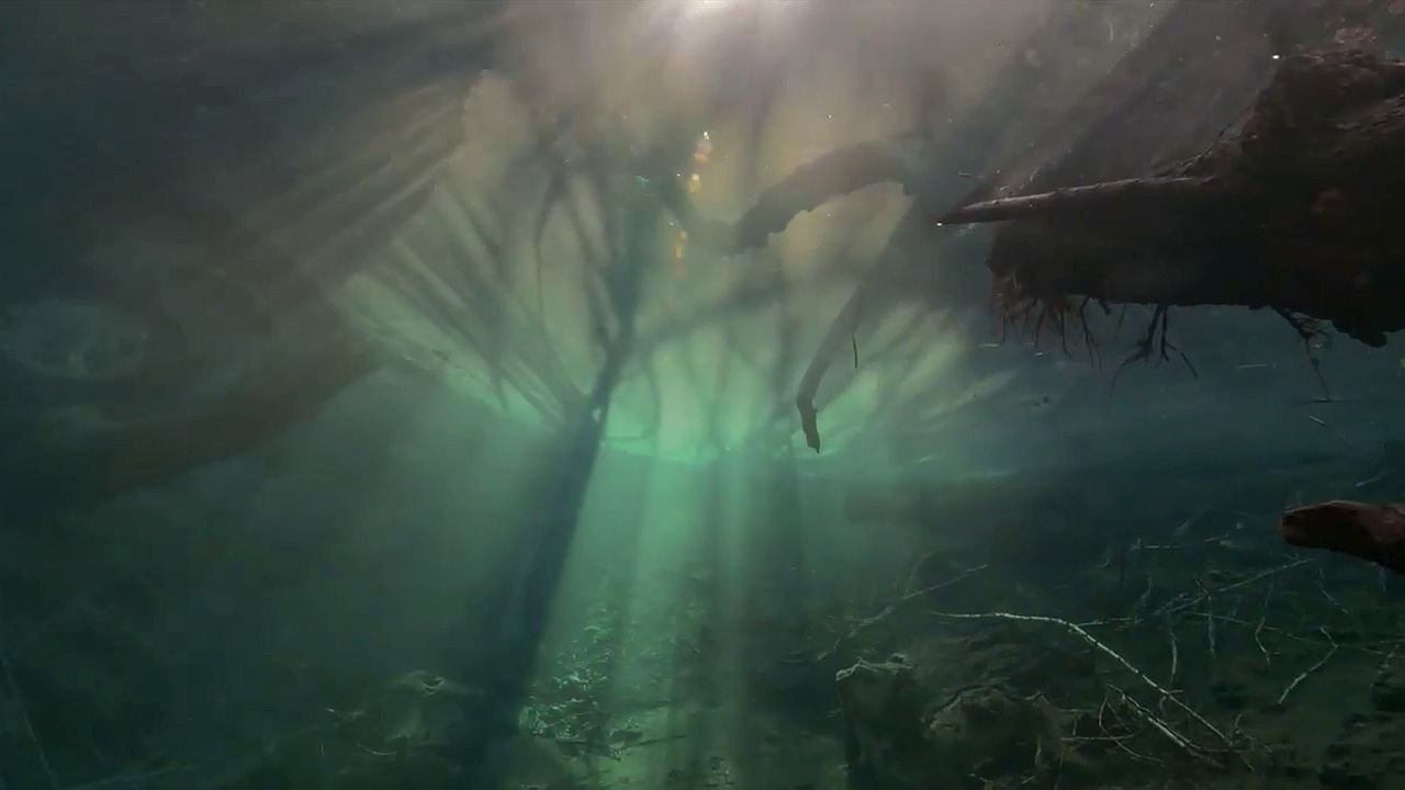 Un fleuve invisible backdrop