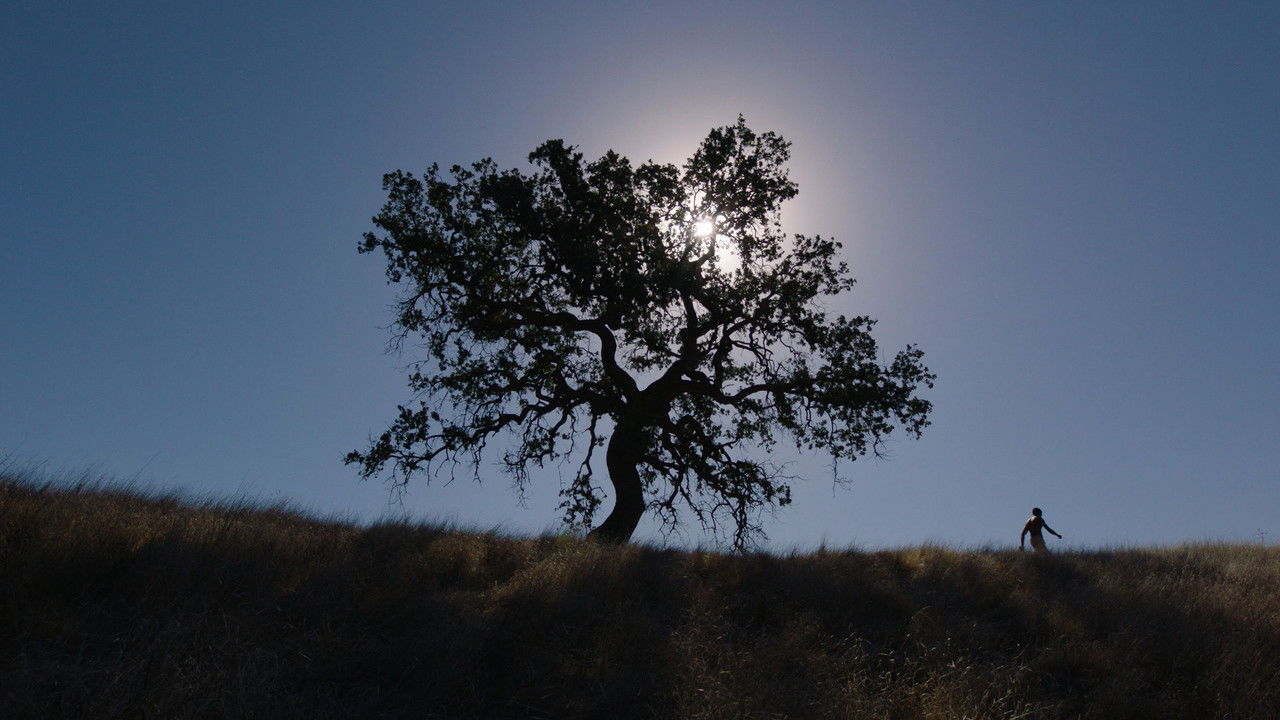 Rite of Passage backdrop