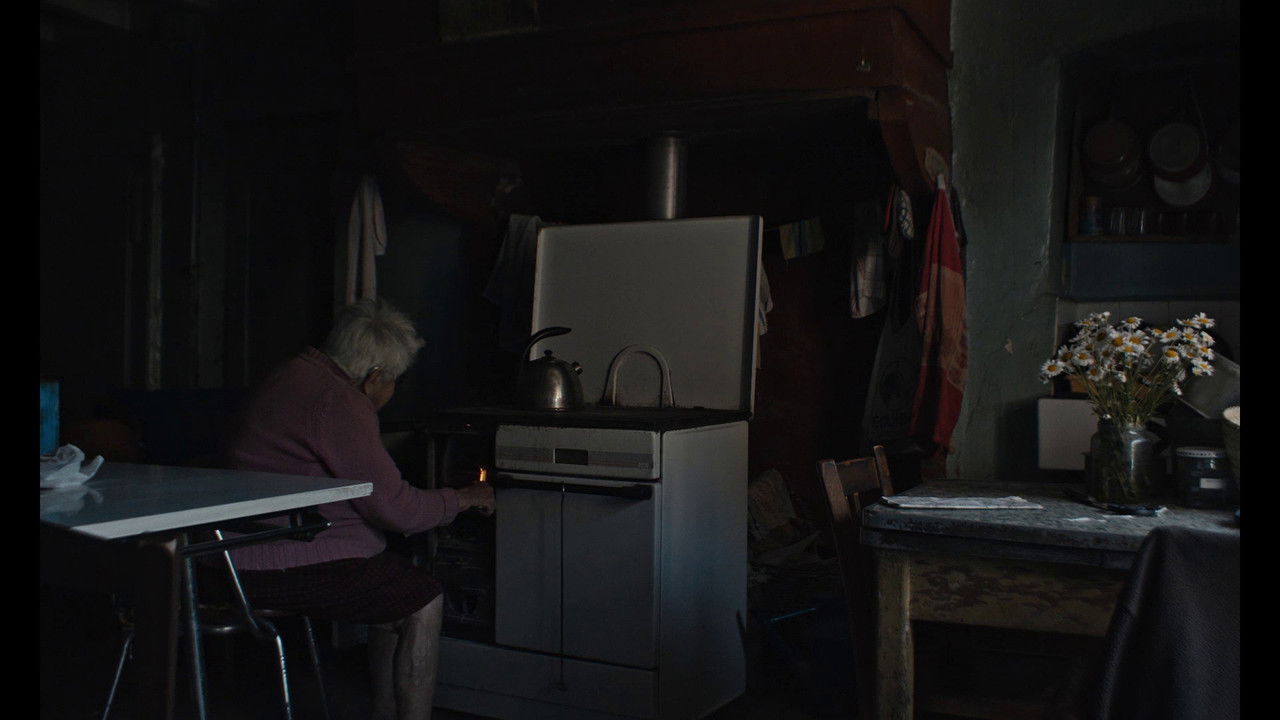 Fiori bianchi backdrop