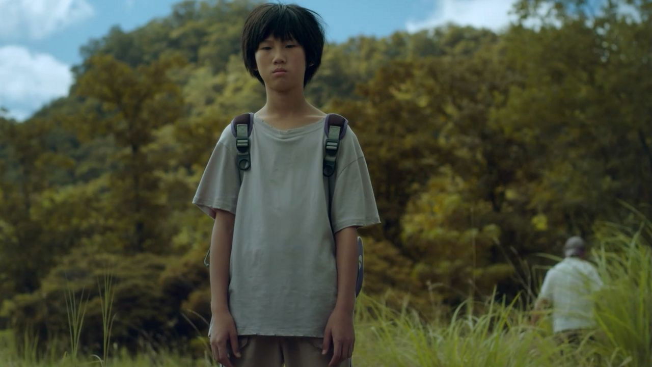 Wild Sparrow backdrop