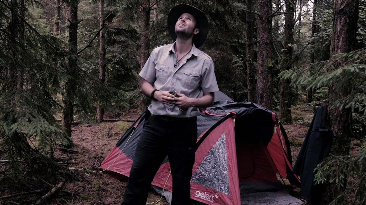 Territorial Behavior backdrop