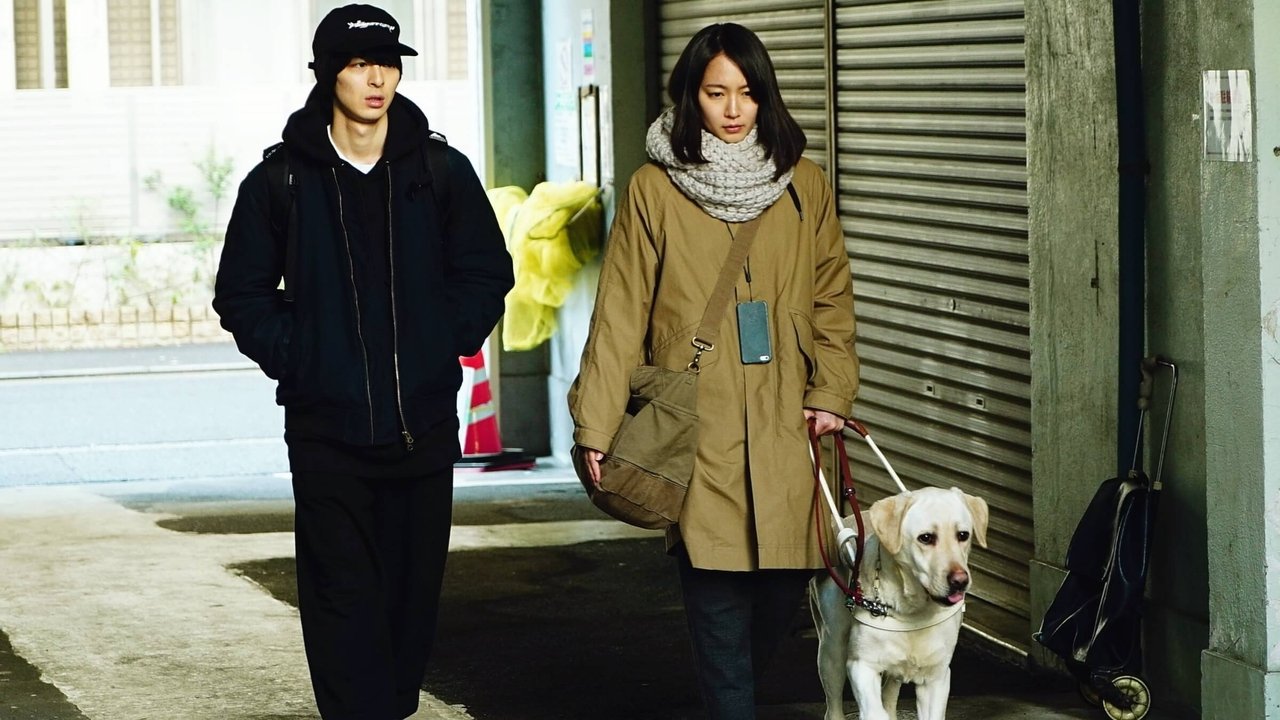 The Witness backdrop