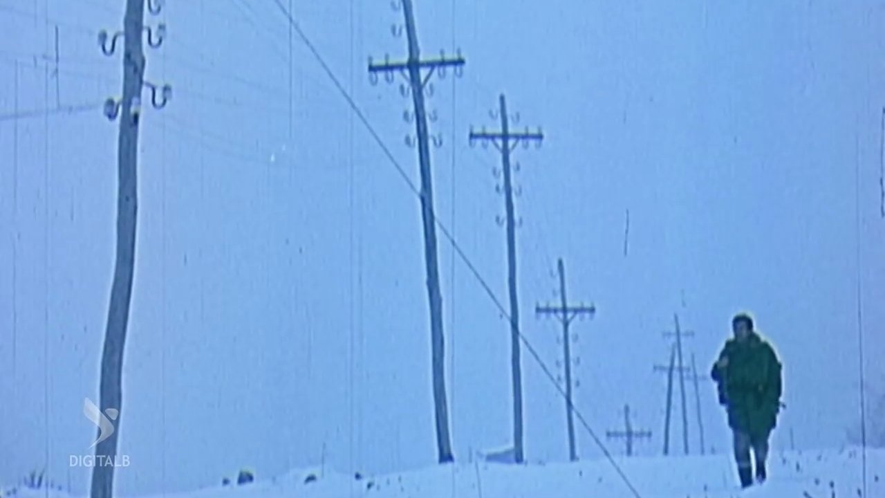 White Roads backdrop