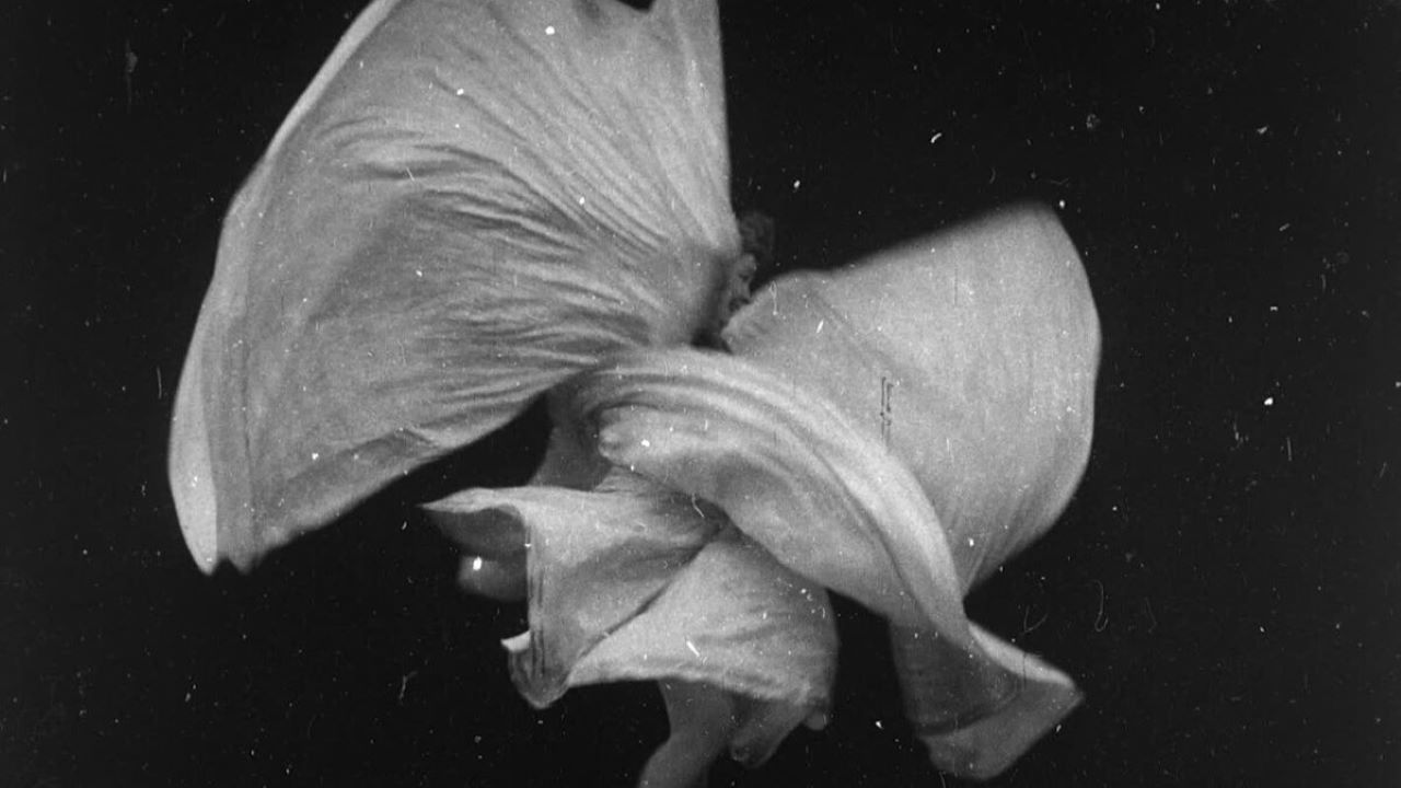 Serpentine Dance by Mme. Bob Walter backdrop