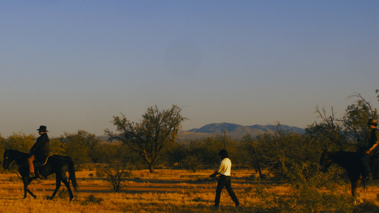 The Bad Taste Better backdrop