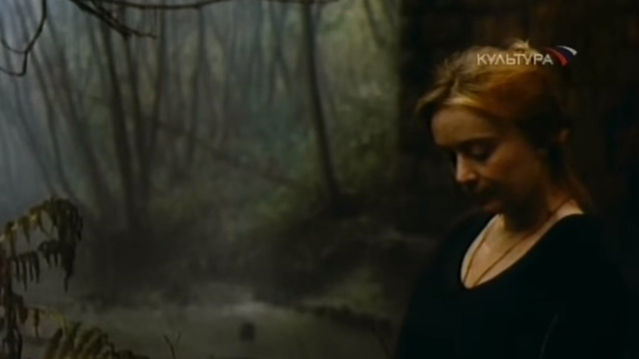 In the Middle of the World backdrop