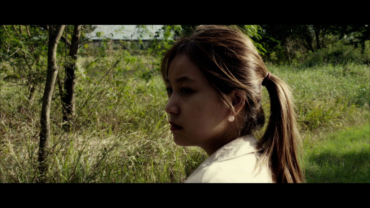 A Dog Funeral backdrop