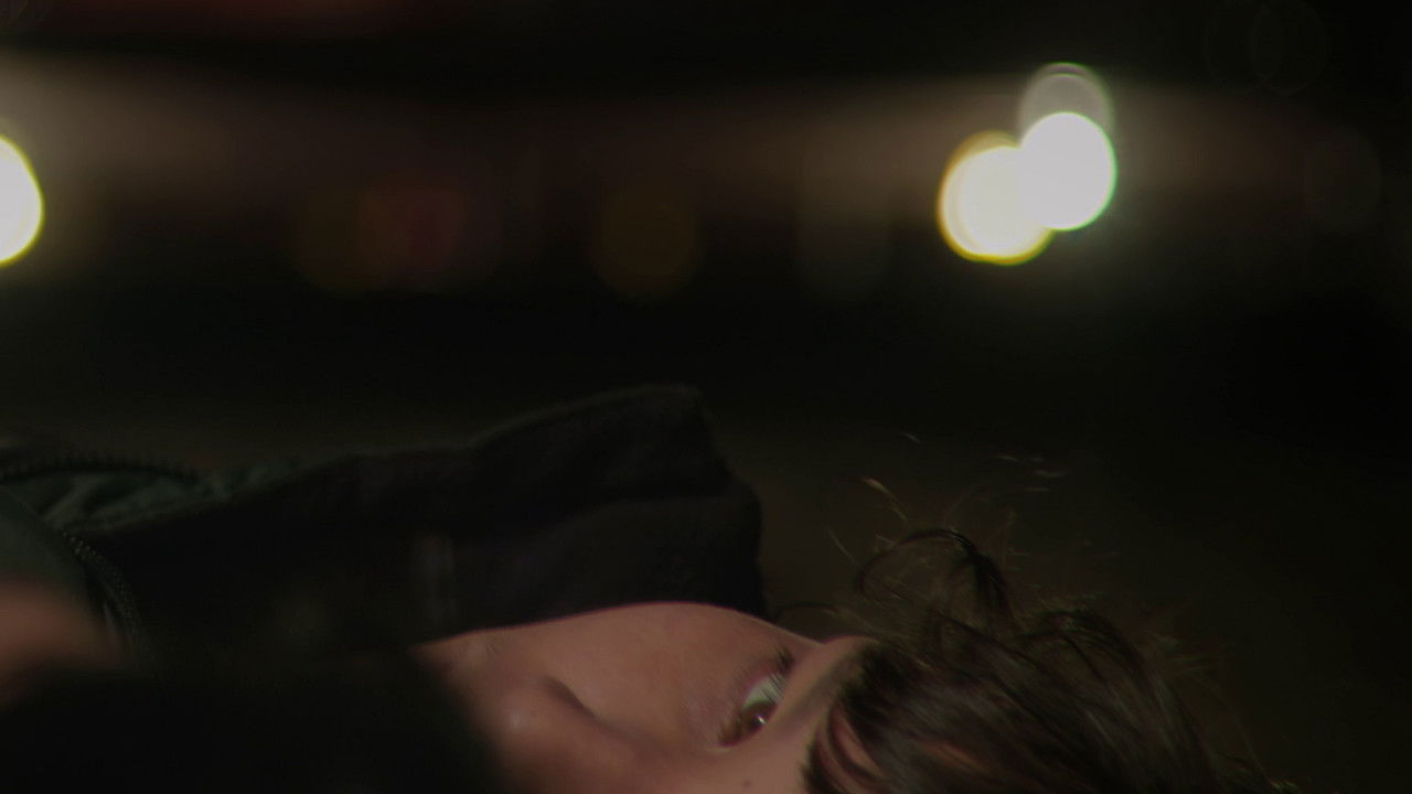 Somewhere all the boys are birds backdrop