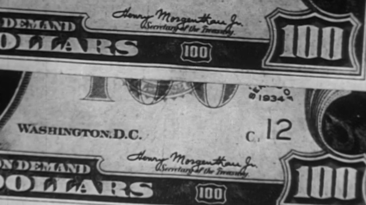 Dollars for Sale backdrop