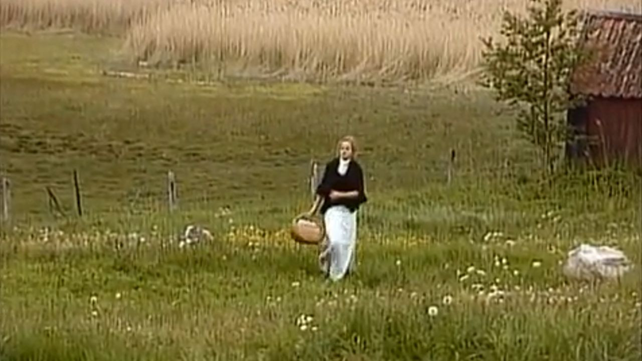 The Freethinker backdrop