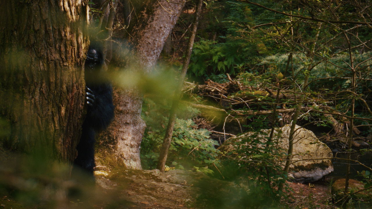 Willow Creek backdrop