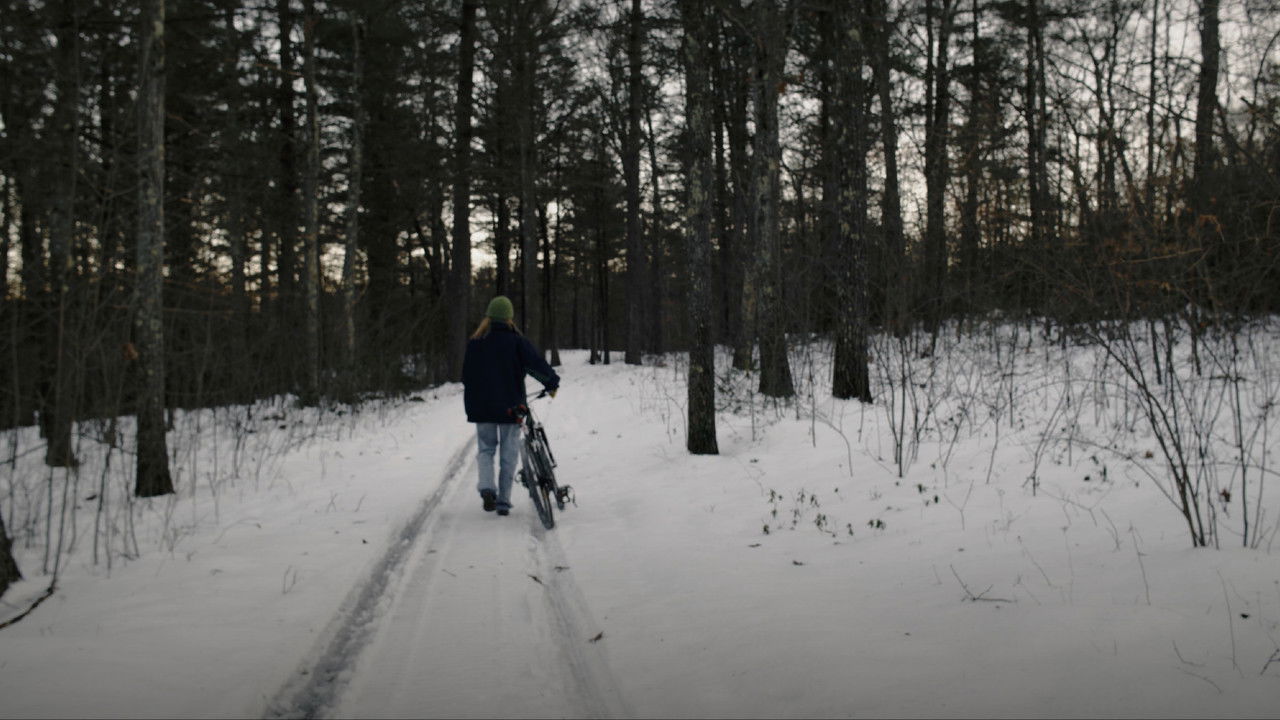 The Wych Elm backdrop