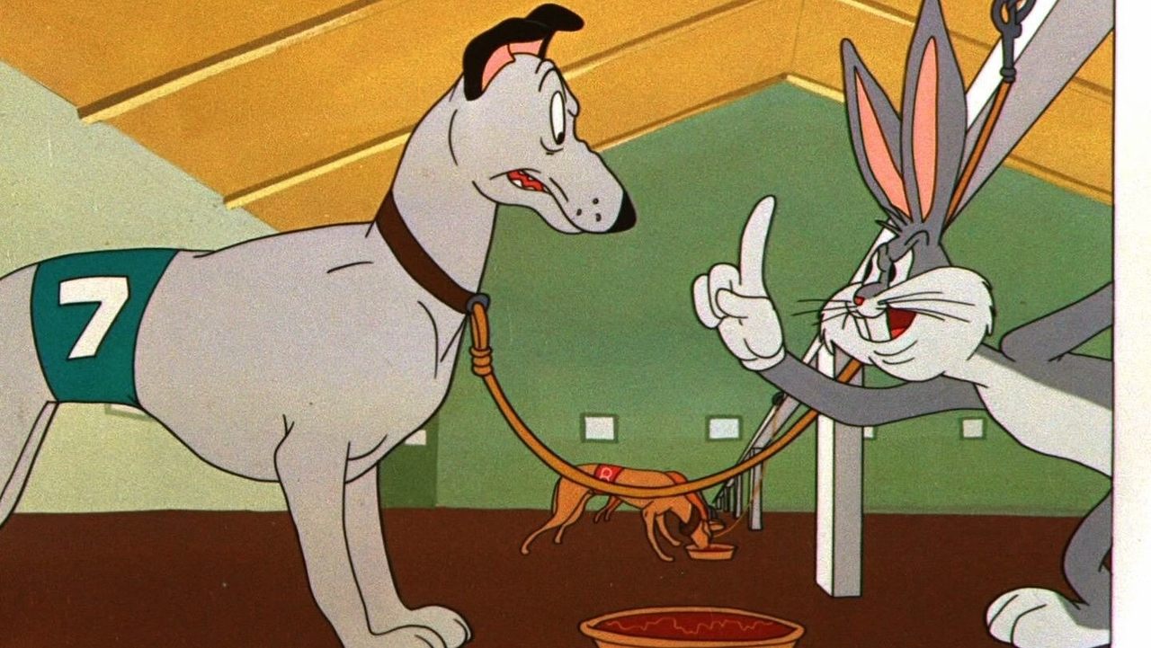 The Grey Hounded Hare backdrop