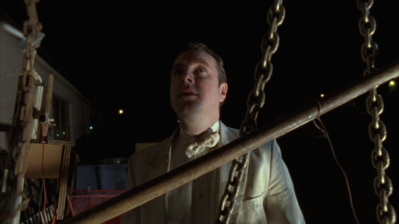 Saint Bernard backdrop