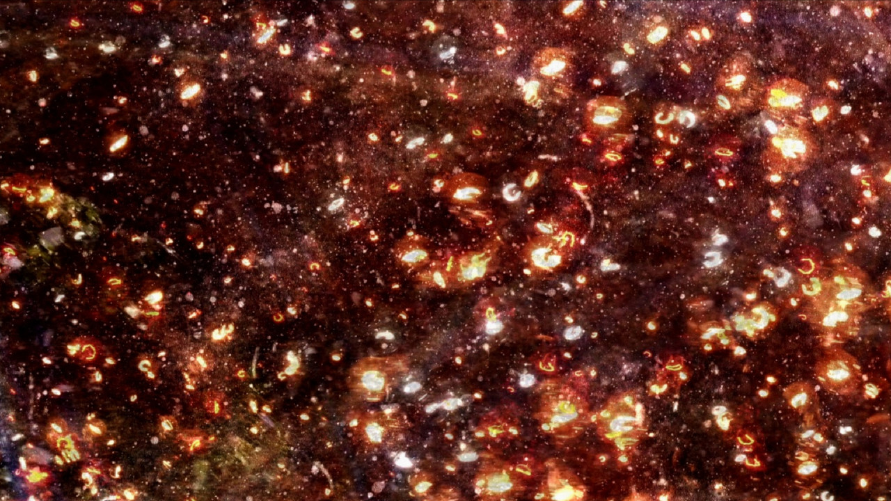 The Picture from Darkness backdrop