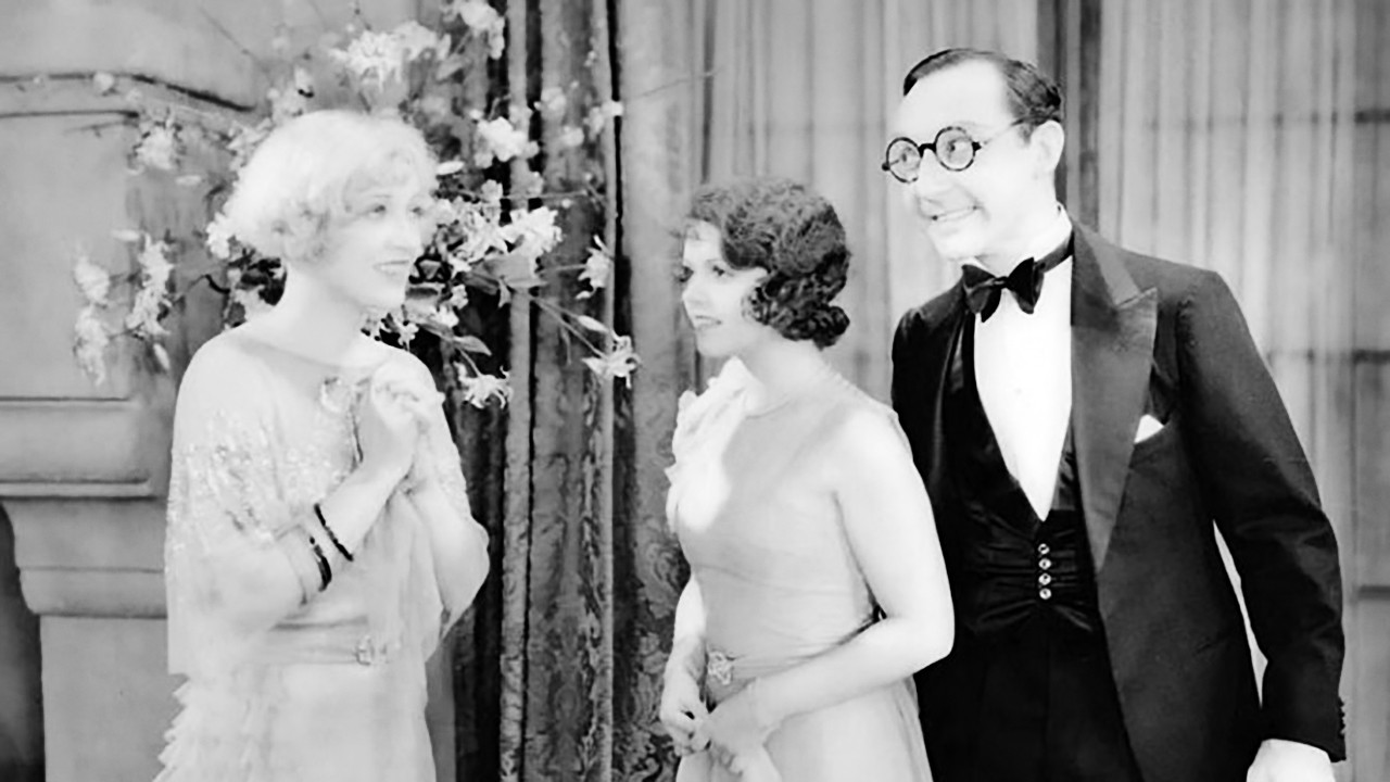 Not So Dumb backdrop