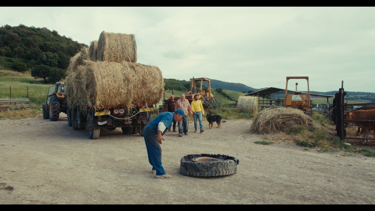 The Substance of Days backdrop