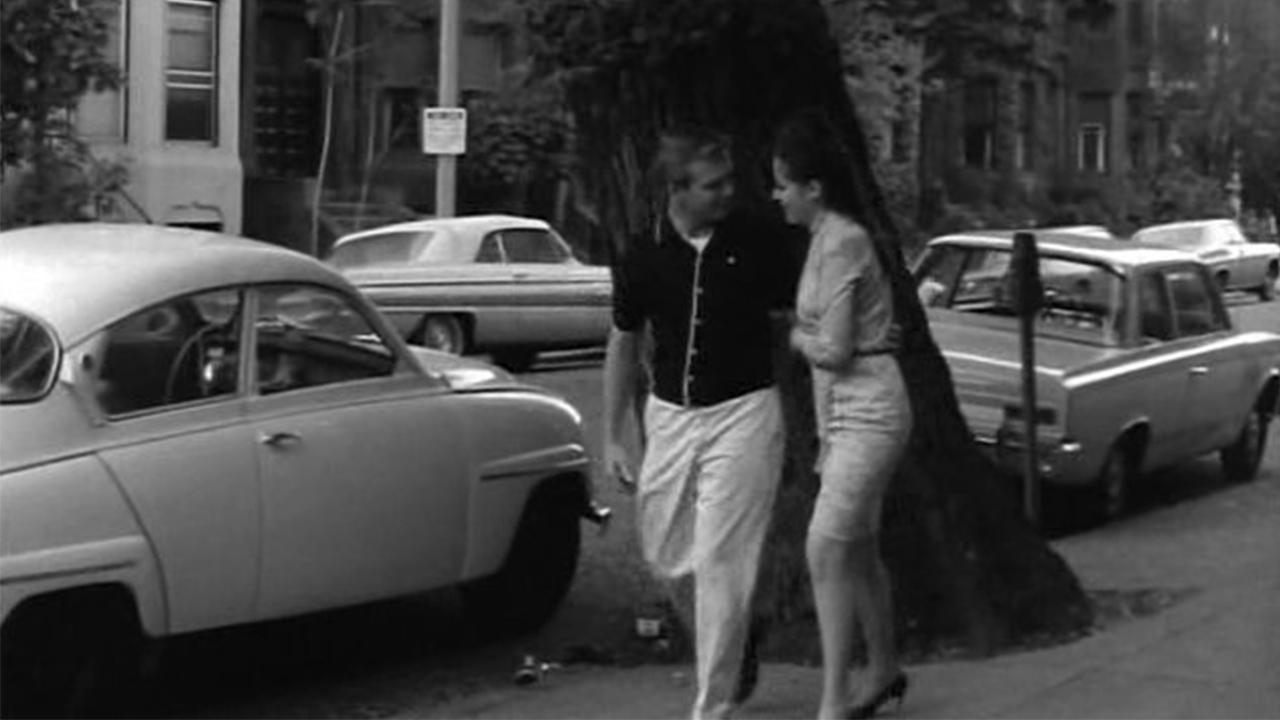 Kitten in a Cage backdrop