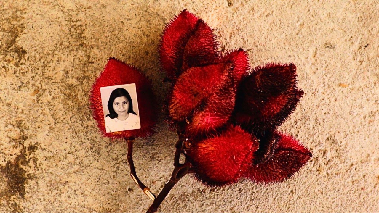 memória trêsporquatro backdrop