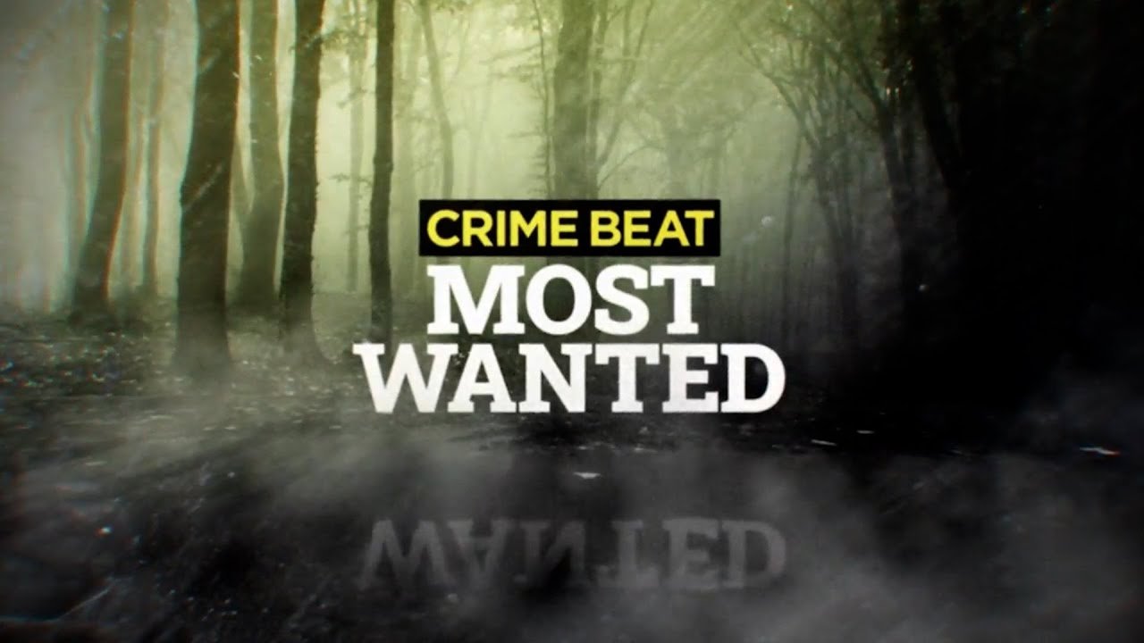 Crime Beat: Most Wanted backdrop