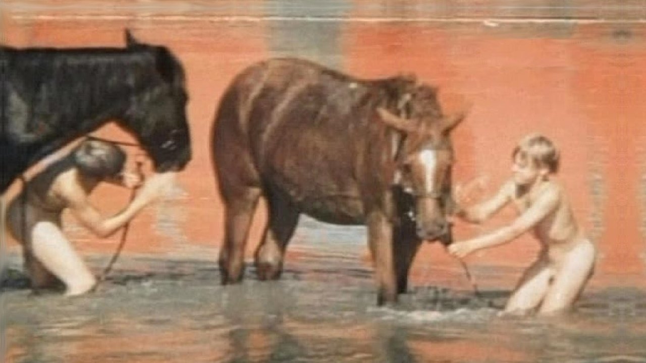 Fiery Childhood backdrop