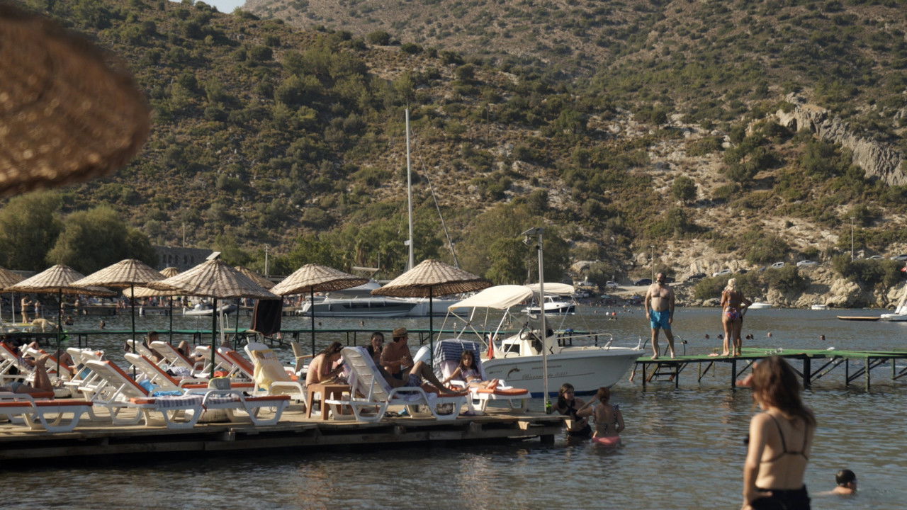 Rose Quartz backdrop